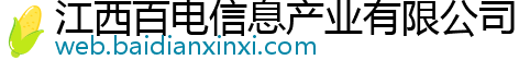 江西百电信息产业有限公司